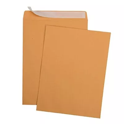 9 X 12 Self-Seal Brown Kraft Catalog Mailing Envelopes 28lb Kraft Paper100-Pack • $29.16