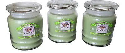Scented Jar Candles Bulk 3-Pack Cucumber Honeydew Nature's Finest Beeswax 304 • $21.95