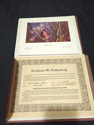 Rare Unframed Vivi Crandall-With Certificate Of- Charlottes Web#783 -1300 Signed • $204.70