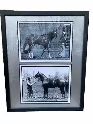 The 2 Greatest Race Horses That Ever Lived!! Secretariat And Man O War • $65
