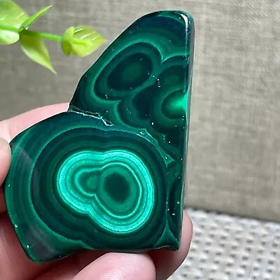 Malachite Slab / Slice  Polished Gemstone Mineral Specimen Congo 23g A21 • $19.50