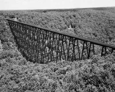 Erie Railroad Kinzua Viaduct Bridge Near Mt Jewett PA 1971 View 8x10 Photo • $12.49