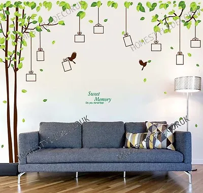 Family Tree Photo Frame Bird Wall Stickers Vinyl Art Decal Home Decor Removable • £8.99