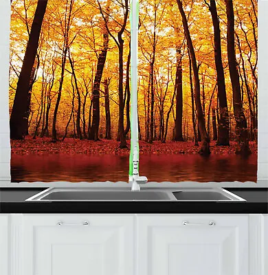 Nature Theme Kitchen Curtains 2 Panel Set Window Drapes 55  X 39  • $28.99