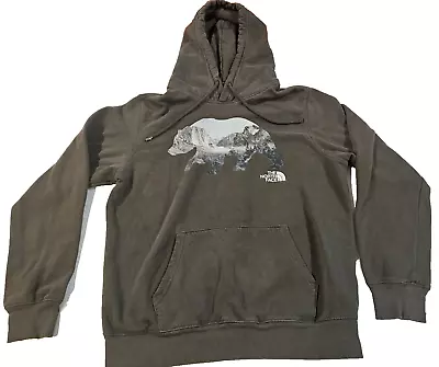 The North Face Hoodie Mens Medium Green Polar Bear Pullover Sweatshirt Outdoors • $14.75