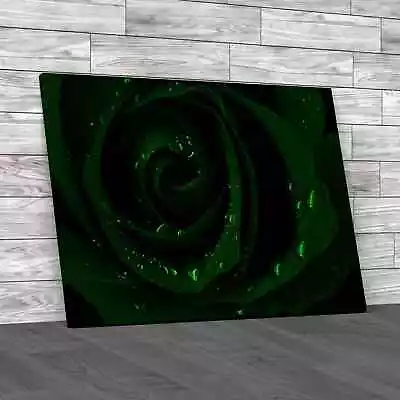 Rose Petals Up Close Green Canvas Print Large Picture Wall Art • £59.95