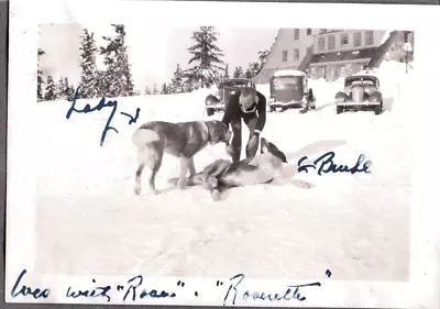 Vintage Photograph Mt. Hood Lodge Dogs Cars Skiing Fashion Portland Oregon Photo • $6