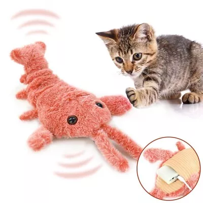 Pet Flopping Lobster Toy Cat Dog Motion Activated Moving Toys USB Cat Nip Toys • £8.89