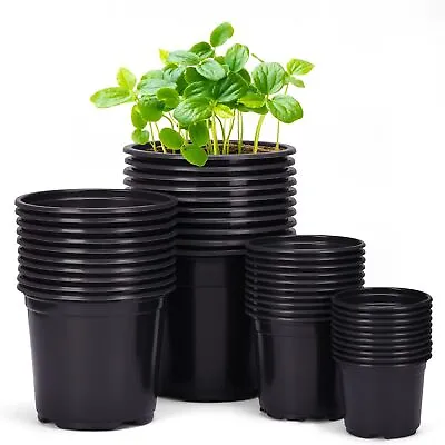 5/10 Pk 1/2/3/5 Gal Premium Plastic Nursery Plant Container Garden Planter Pot • $38.99