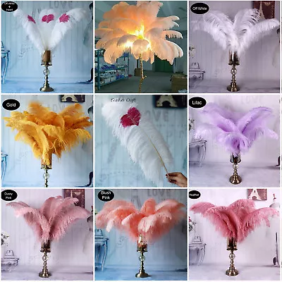 Long Quality Ostrich Feathers Costume Ornament Wedding Party Plume Decor 40-45cm • £3.99