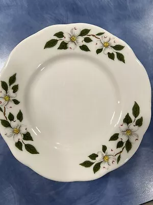 7 Vintage Buffalo China Dogwood 5” Plates Restaurant Ware • $22