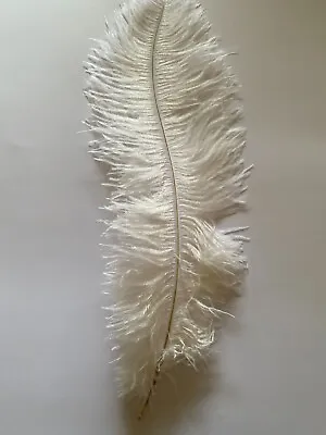 Ten (10 ) White Ostrich Feathers 35-40cm First Grade • $29.50