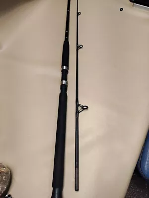 Quantum Blue Runner 8 Ft 2 Piece Medium Heavy Fishing Rod  • $59.95