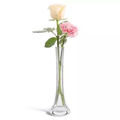 Small Glass Vase For Flower Bud Home Decor Clear Pack Of 1 • $27.27