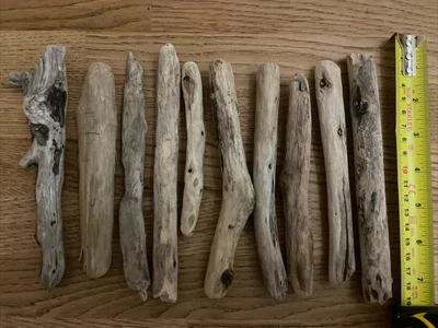 £4.99 • Buy Speyside Scottish Driftwood 10 Pieces 12-17 Cm Long For Arts & Crafts (J)