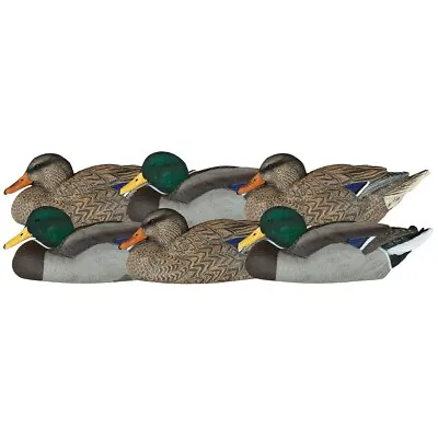 Dakota Decoys Mallard Resting Floating 6 Pack • $109.99