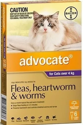 Advocate Cat Purple 6pk For Cats Over 4kg  • $98.25
