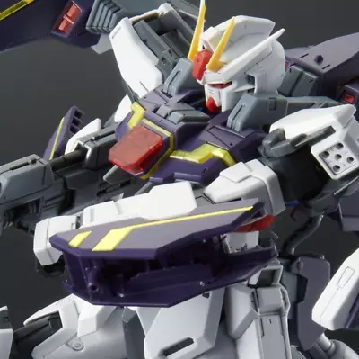 MG 1/100 Lightning Strike Gundam Ver.RM Model Kit P-Bandai Limited • $144.99