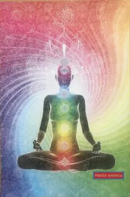 The Seven Chakras Meditation Yoga Pose Art Poster 24 X 36 • £47.80