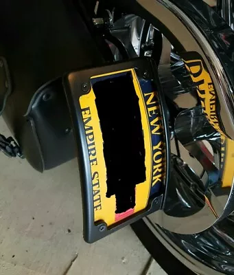 Curved License Plate Rocker/Breakout HD (FOR A Custom Dynamic LED Lighted Frame) • $65