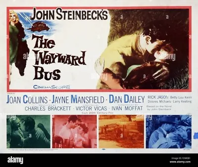 The Wayward Bus  (1957) Jayne Mansfield Public Domain DVD NO CASE • £3.99