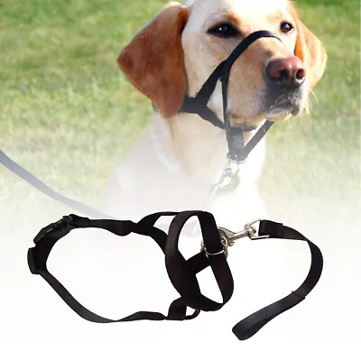 Dog Halter Halti Training Head Collar Gentle Leader Harness Nylon Collars • £5.59