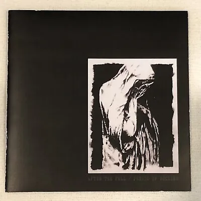 AFTER THE FALL / PERIOD OF DECLINE Split CD Original 1999 Hardcore Punk Metal • $2.99