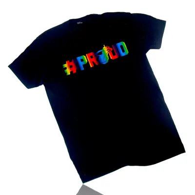 #PROUD Miami Heat T-Shirt Basketball Team Pride Color: Black Size: XXL - New • $13.95