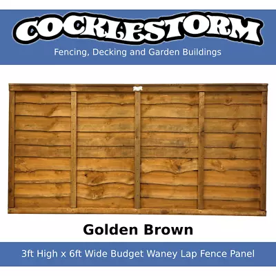 3ft High X 6ft Wide Golden Brown Fence Panel - Free Delivery Within 60 Miles • £23.50