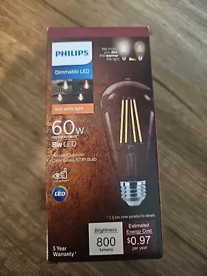  Philips 60-Watt Equivalent ST19 Dimmable Vintage Glass Edison LED Light 2700K • $9.99
