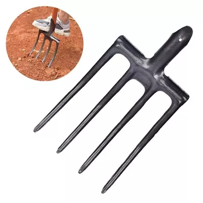 Best Garden Fork Head Tool Heavy Duty Digging Weed Soil Cultivator Mulch Manure • $57.14