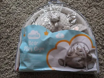 Mamia Bear Play Gym. 0+ Months. Never Been Out Of The Bag • £25