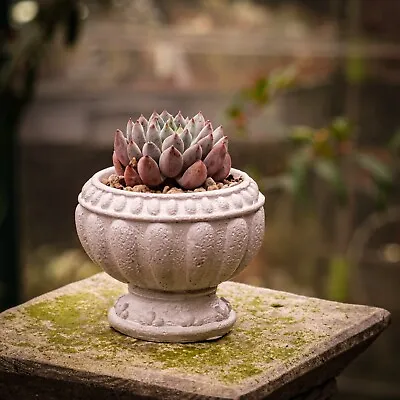 Handmade Succulent Pots Planter - Jesmonite - Sealed - Gift -Plant Urn • £4.99