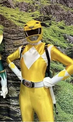 Mighty Morphin Power Rangers Yellow Ranger Costume • $999
