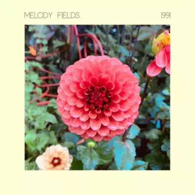 Melody Fields 1991 (Vinyl) 12  Album (UK IMPORT) • $30.75