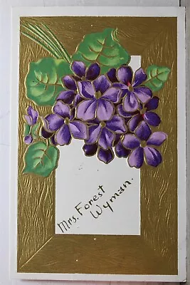 Greetings Flower Floral Postcard Old Vintage Card View Standard Souvenir Postal • $0.50