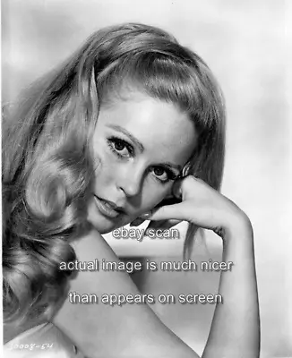 Veronica Carlson   Beauty Portrait  Hammer Films  8x10 Photo  08 • $14.99