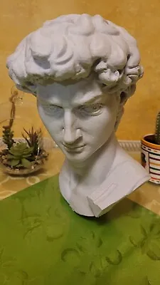 Bust Of Michelangelo's David Large 9.5 Inches • $49.99