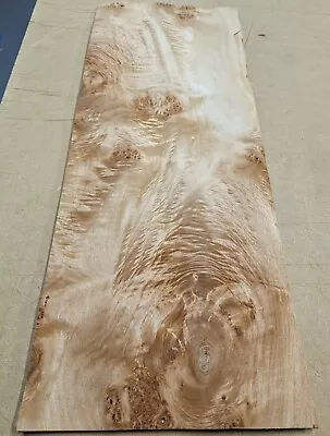 Maple Burl Cluster Wood Veneer Sheet 10  X 28  Raw No Backing 1/42  Thickness • $42.50