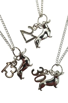£5.97 • Buy SILVER NECKLACE DACHSHUND PET DOG Charm Pendant Birthday Anniversary Gift + Bag