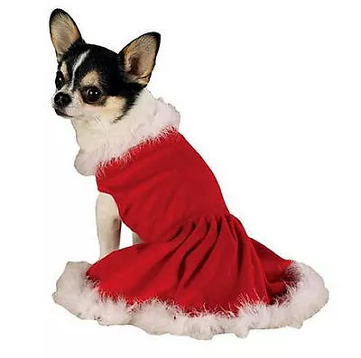 Zack & Zoey MRS CLAUS Dog Dress Red Velvet White Feathered Trim Hook & Loop Pup • $19.99