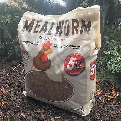 Outdoor Dried Mealworms For Chickens Wild Birds Ducks Small Pets 5 Lbs Bag • $27.07