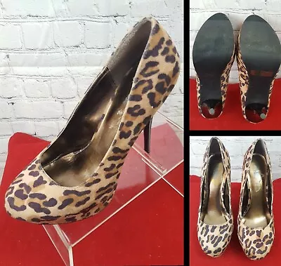 Charlotte Russe Platform Leopard Print With 6  Heel Size 9 • $24.19