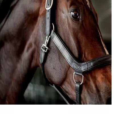 Horse Leather Halter With 3 Snap Closure - Black & Brown Full/Cob/Pony Sizes • $69