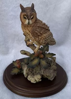 Country Artists Figurine Long Eared Owl With Acorns #01951 A/F • £15