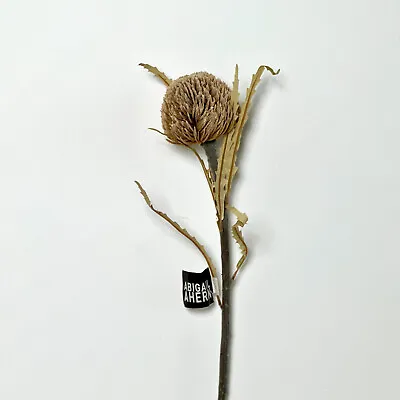 Brand New Abigail Ahern Single Stem Banksia Sienna | Faux Artifical Flower • £14.95