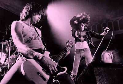 $9.95 • Buy The Ramones Poster, Punk Rock, Live In Concert 