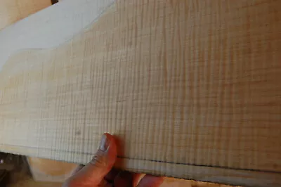 Super Tight Curly Maple Tonewood Guitar Luthier Set Back Sides • $300