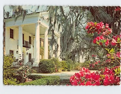 Postcard Boone Hall Plantation Mount Pleasant South Carolina • $11.99