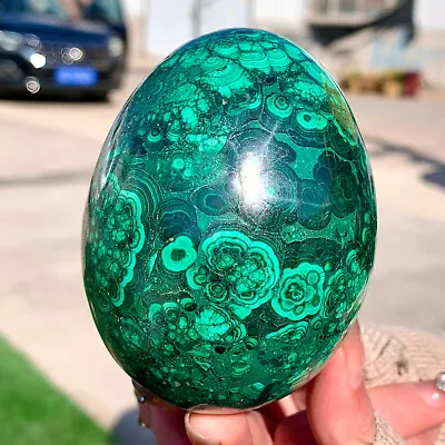 1.28LB Rare Natural Malachite Quartz Hand Carved Egg Crystal Healing • $74